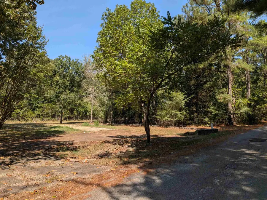 11 Vista Larga Drive, Cherokee Village, AR 72529 - #3