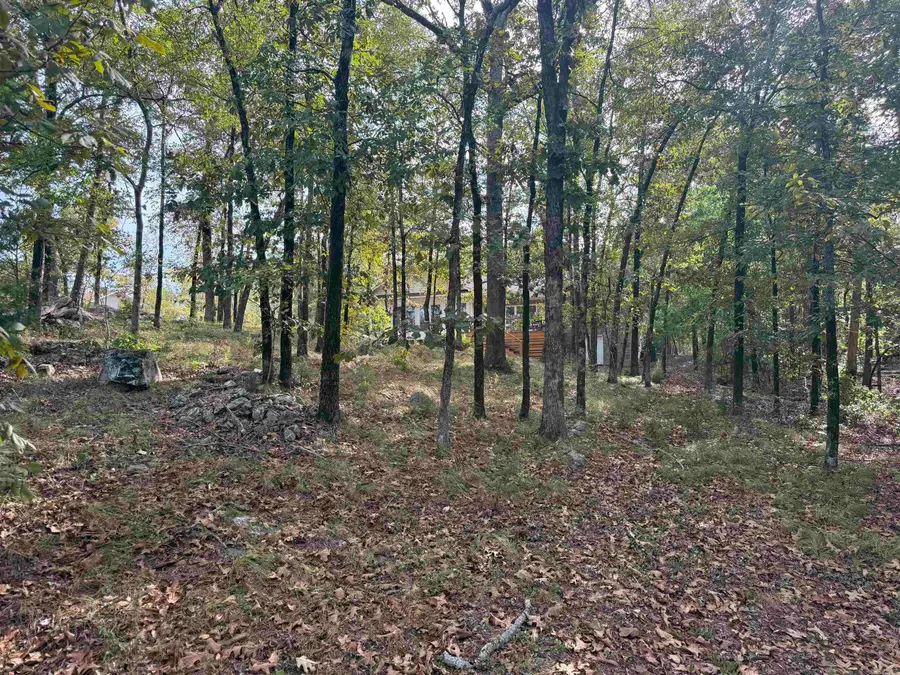 100 Ferdinand Way, Hot Springs Village, AR 71909 - #2