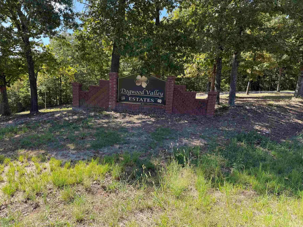 00 Hwy 87, Mountain View, AR 72560 - #1
