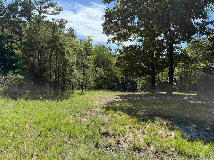 00 Hwy 87, Mountain View, AR 72560 - #2