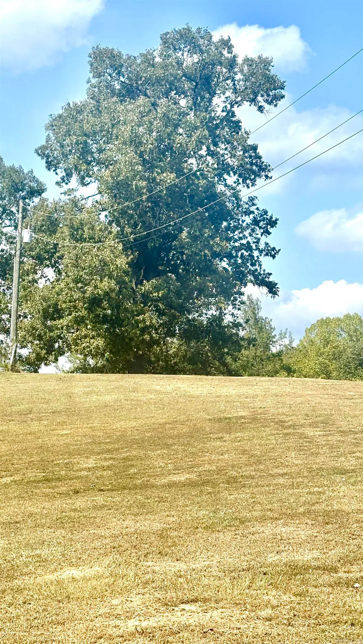 Tract 2 Steel Bridge Road, Benton, AR 72019 - #1