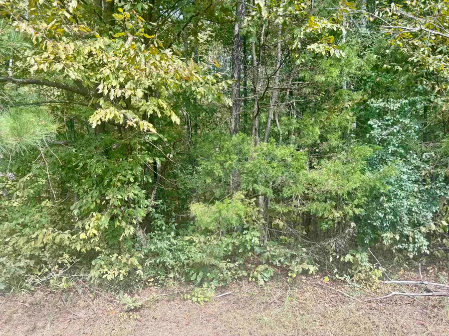Tract 2 Steel Bridge Road, Benton, AR 72019 - #3