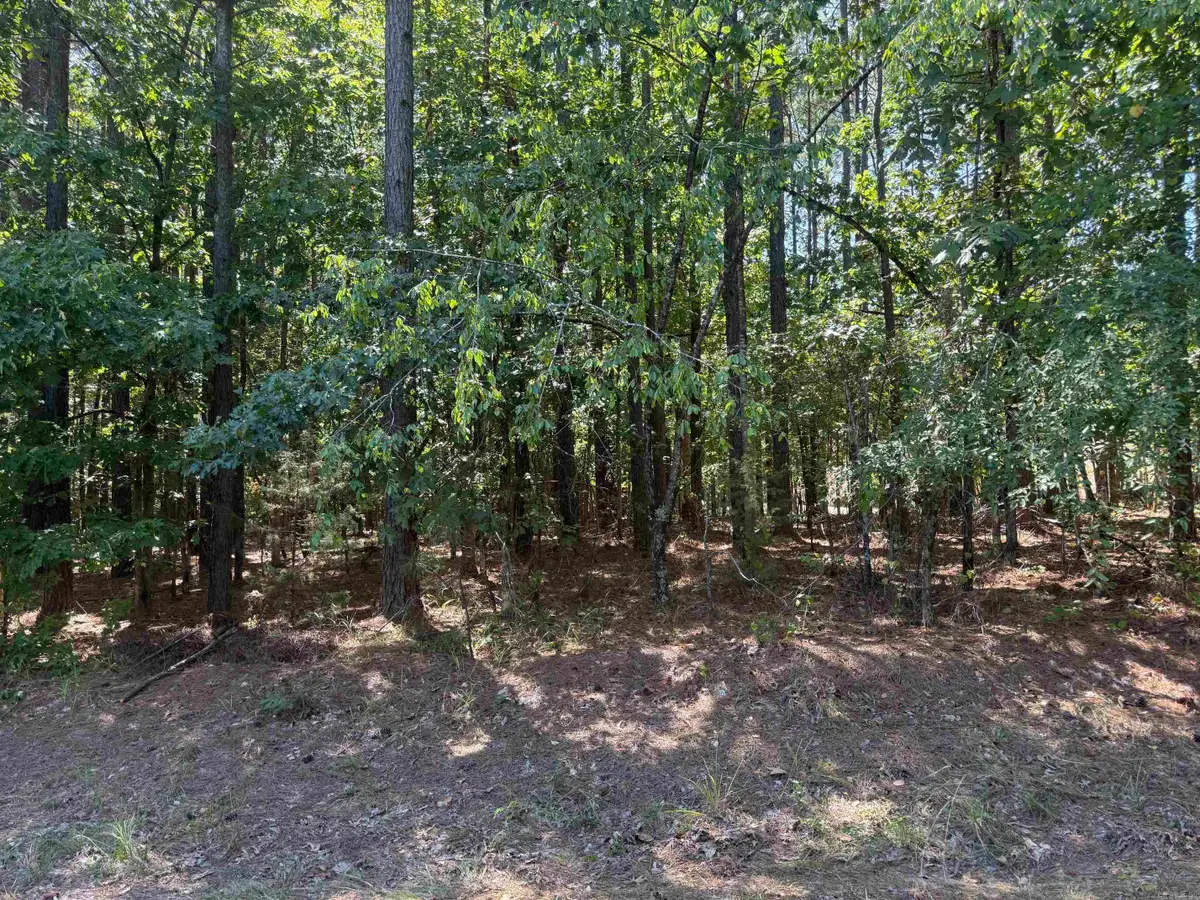 Lot 3 Panorama Drive, Hot Springs Village, AR 71909 - #1
