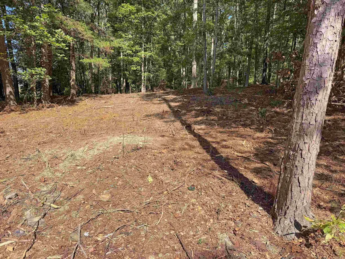 160 John A Trail, Mountain View, AR 72560 - #1