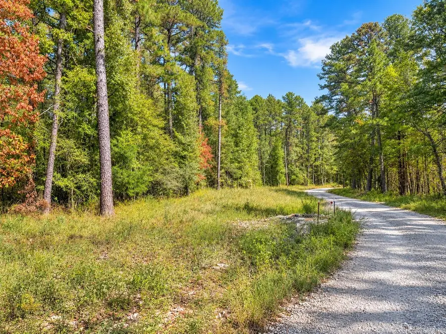 TBD (23) Manfred Road, Norman, AR 71960 - #2