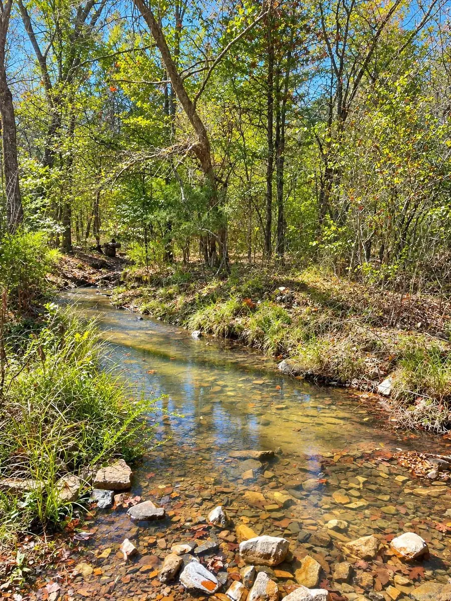 TBD (23) Manfred Road, Norman, AR 71960 - #3