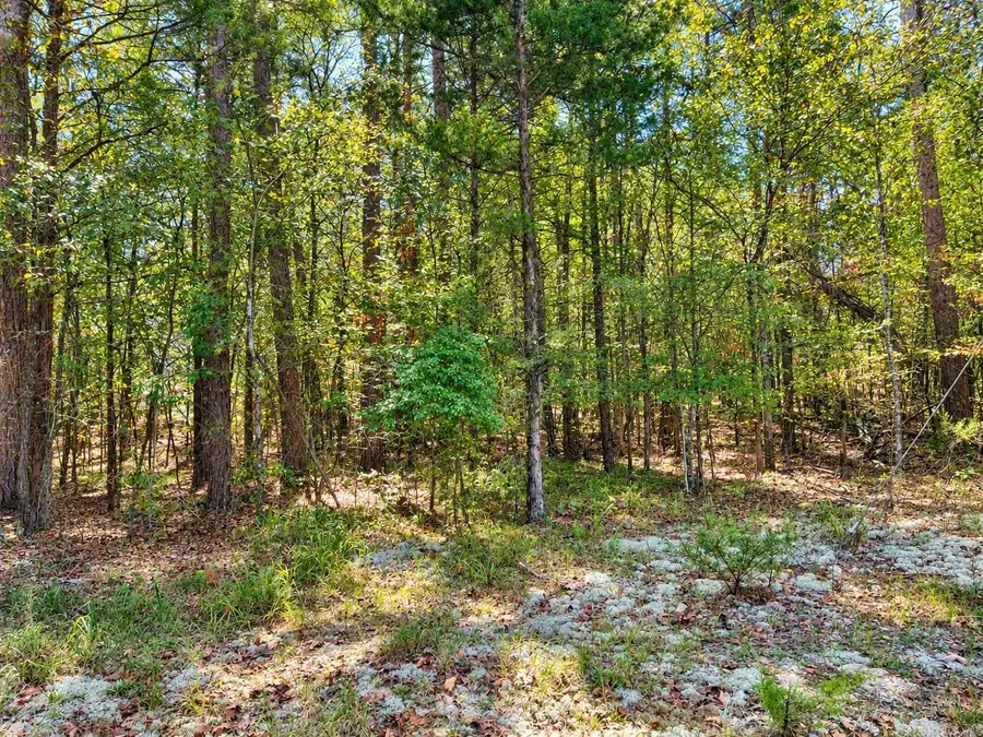 TBD (60) Manfred Road, Norman, AR 71960 - #2