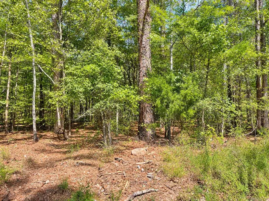 TBD (11) Manfred Road, Norman, AR 71960 - #3