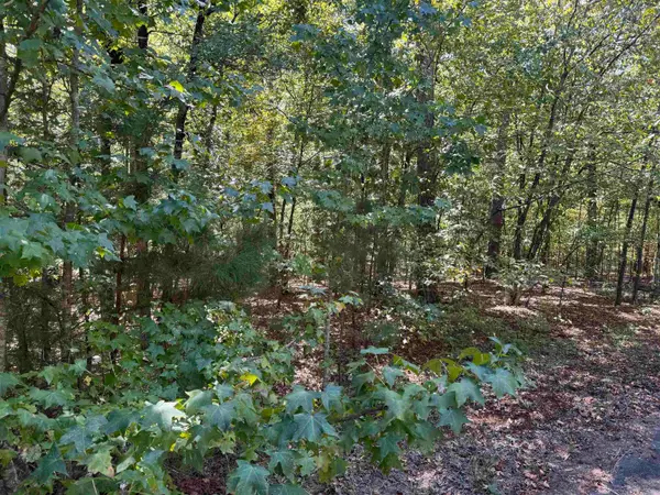 5 Ballobar Circle, Hot Springs Village, AR 71909