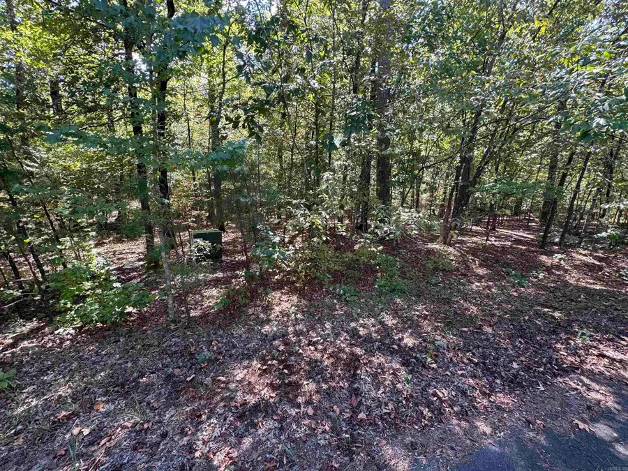 5 Ballobar Circle, Hot Springs Village, AR 71909 - #2