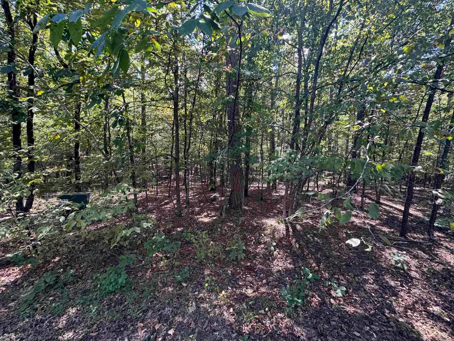 5 Ballobar Circle, Hot Springs Village, AR 71909 - #3