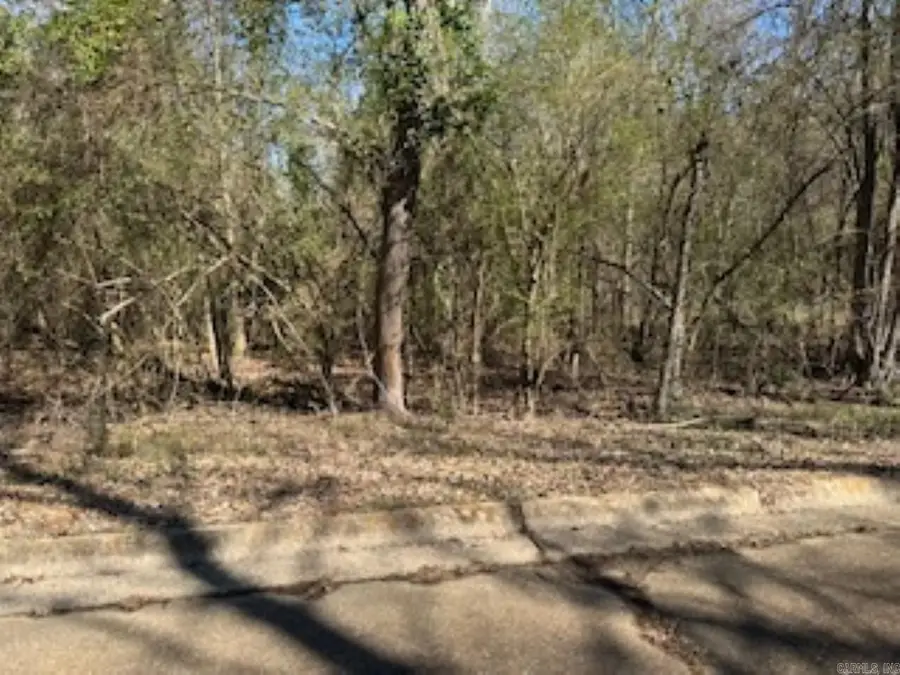 000 Peppertree/mockingbird/camellia, Camden, AR 71701 - #3
