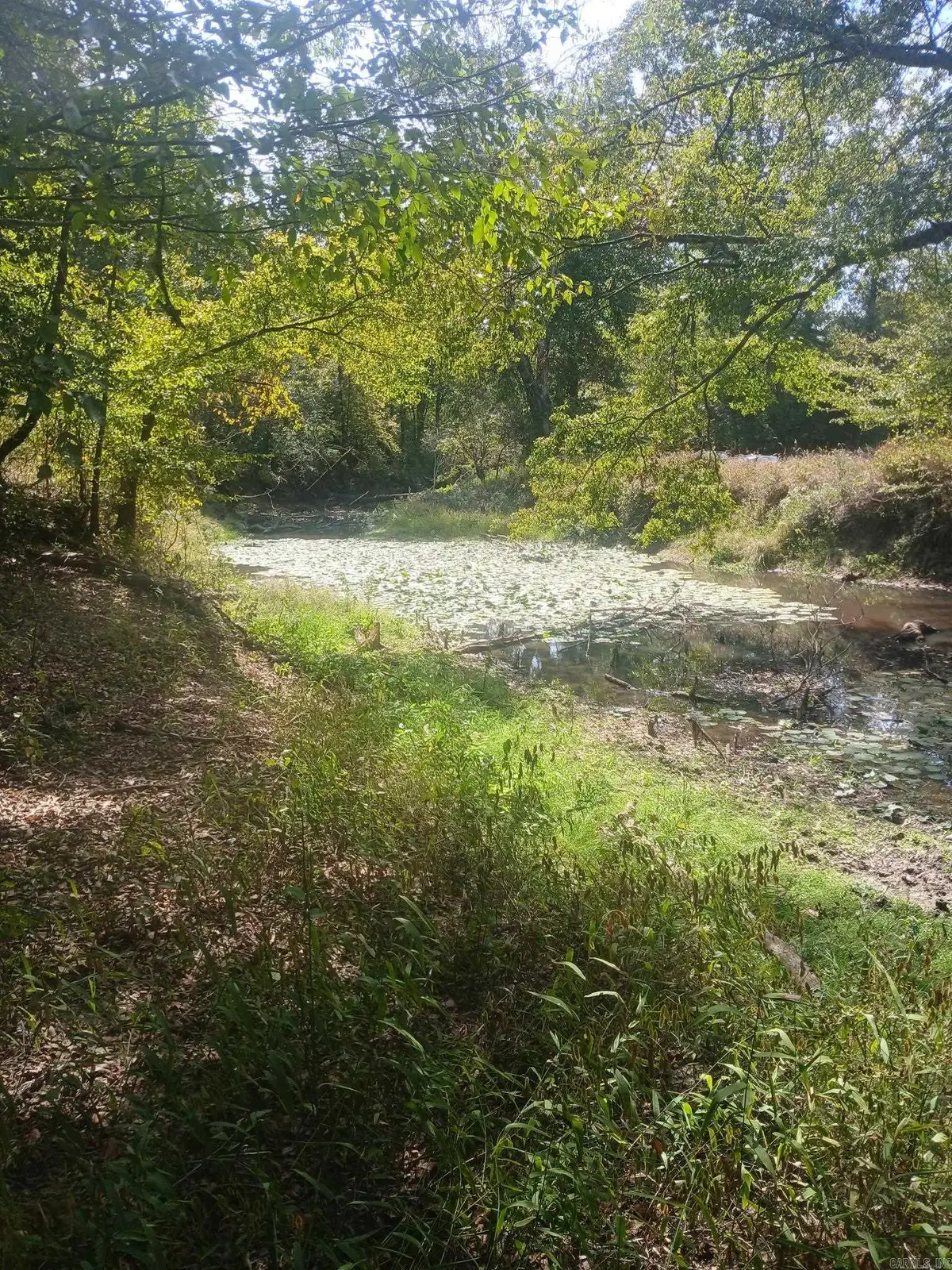 33.00 Acres Hwy 270, Poyen, AR 72128 - #1