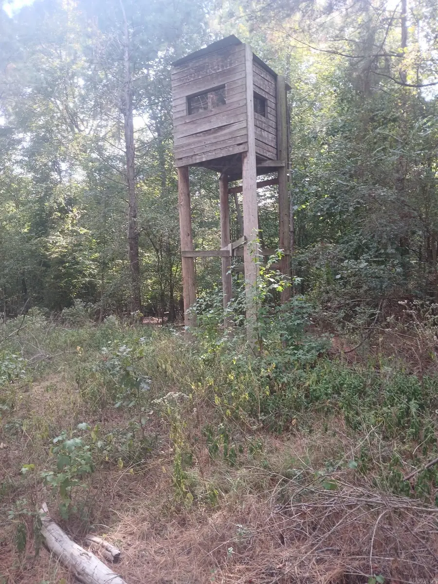 33.00 Acres Hwy 270, Poyen, AR 72128 - #2