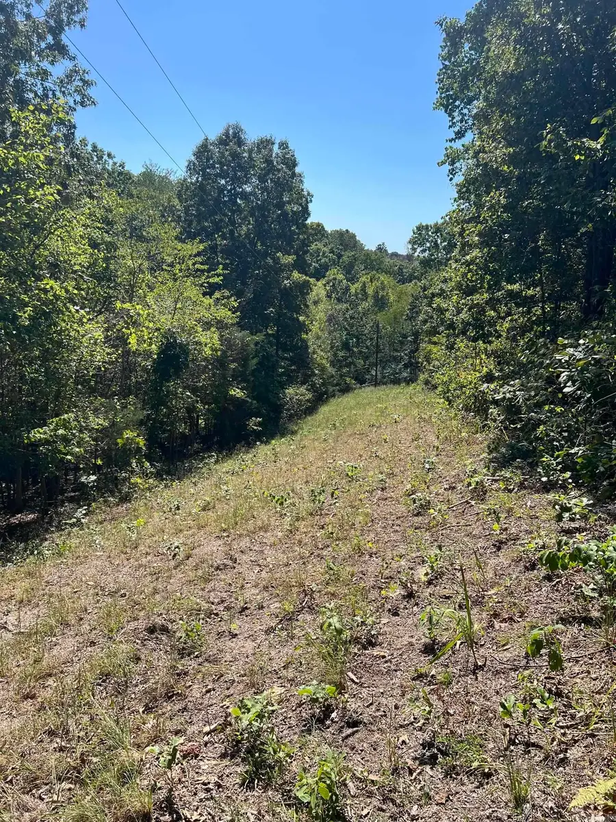 00 Allen Rd, Batesville, AR 72501 - #2