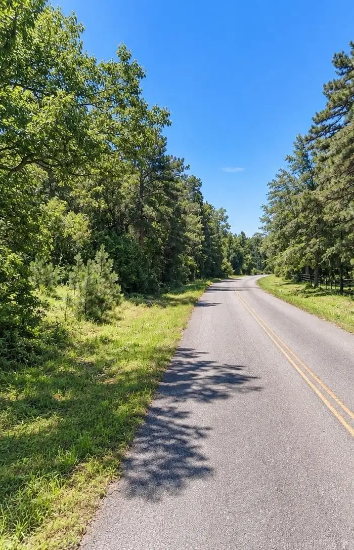 000 Goodfellow Road, Star City, AR 71667 - #3