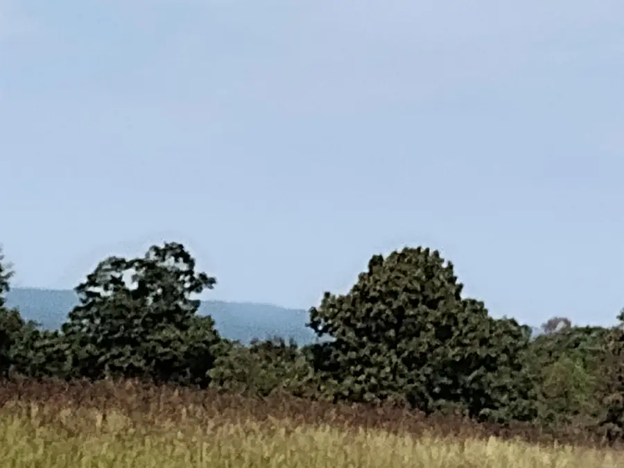 0 Toad Hollow Rd, Mountain View, AR 72560 - #3