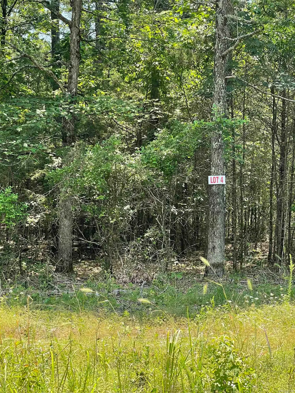 Lot 4 Pleasant Ridge Road, Greers Ferry, AR 72067 - #1