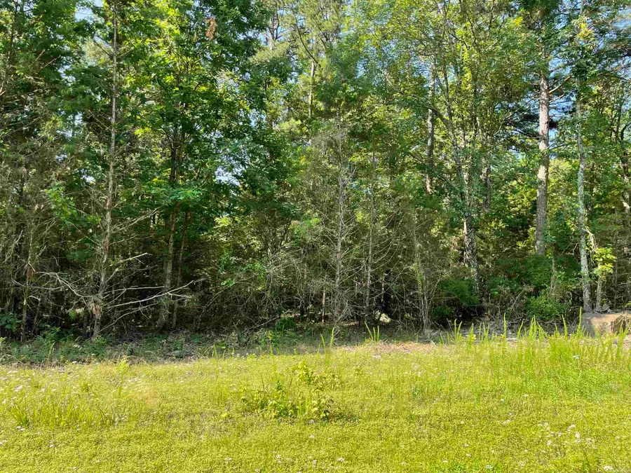 Lot 4 Pleasant Ridge Road, Greers Ferry, AR 72067 - #2