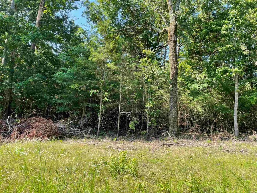 Lot 4 Pleasant Ridge Road, Greers Ferry, AR 72067 - #3
