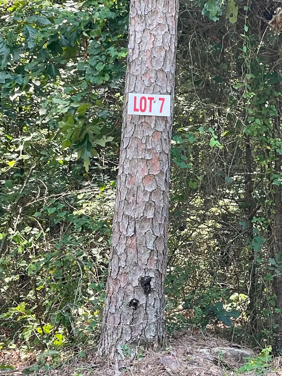 Lot 7 Pleasant Ridge Road, Greers Ferry, AR 72067 - #1