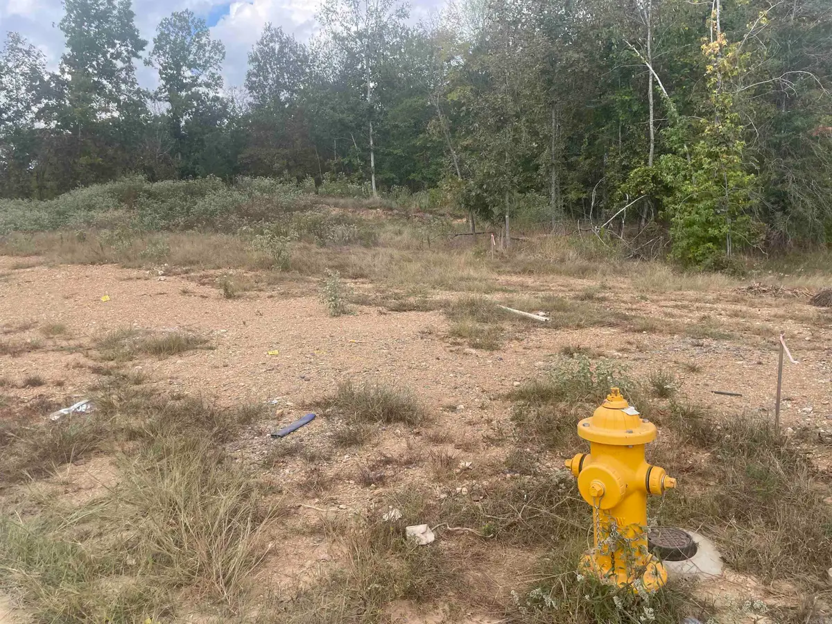 1584 Bighorn, Benton, AR 72019 - #1