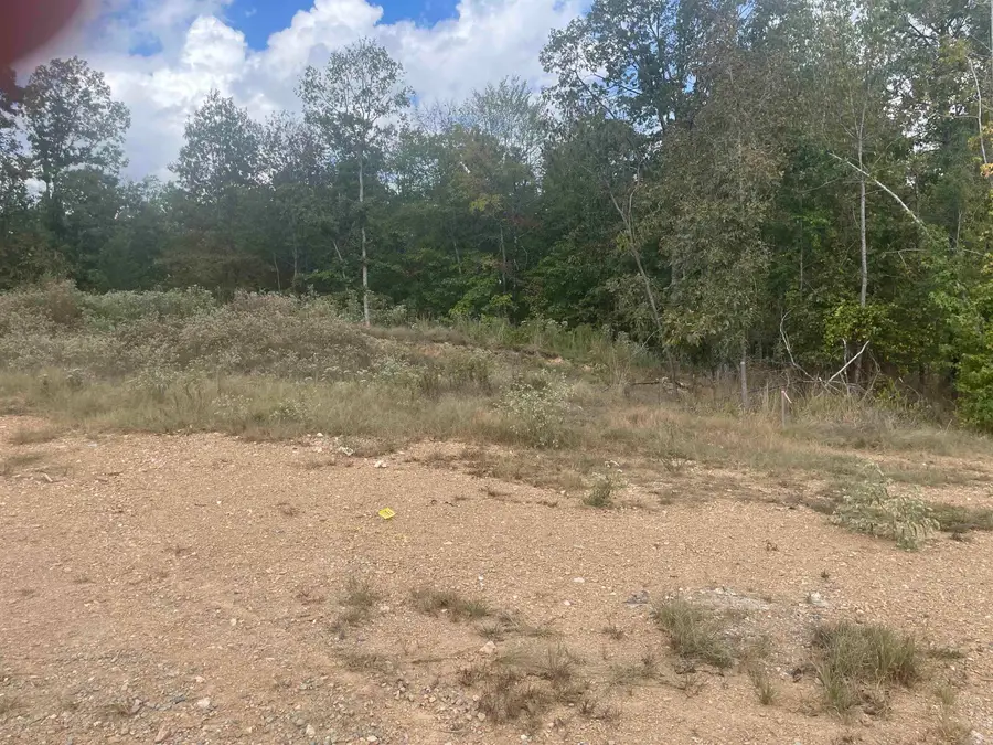 1584 Bighorn, Benton, AR 72019 - #2