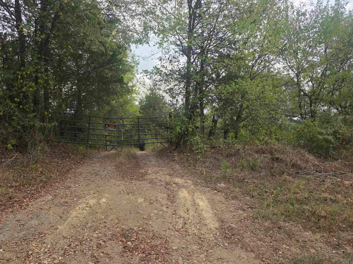 126 Hockersmith Lane, Gillham, AR 71841 - #1