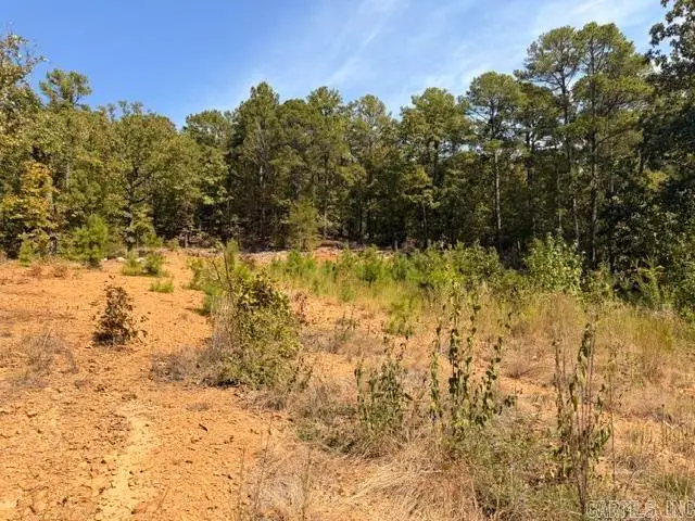Dawn Dr W Drive, Mayflower, AR 72106 - #3
