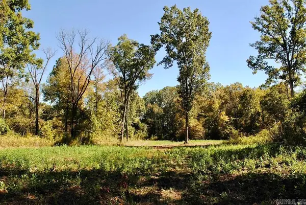 Off Forest Road Y09, Perryville, AR 72126