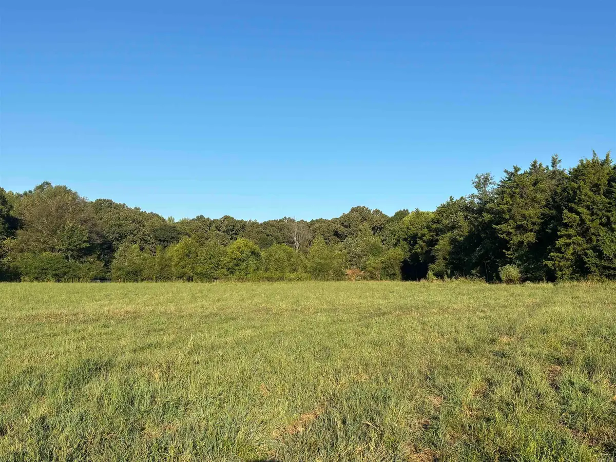 711 Twin Dikes Road, Atkins, AR 72823 - #1