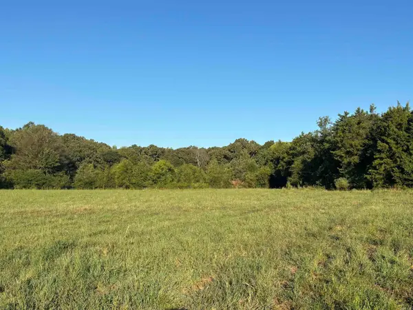 711 Twin Dikes Road, Atkins, AR 72823