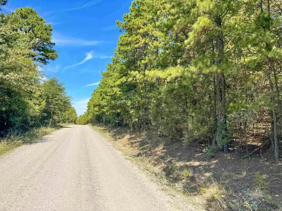 1500 Pole Ranch Road, Shirley, AR 72153 - #2