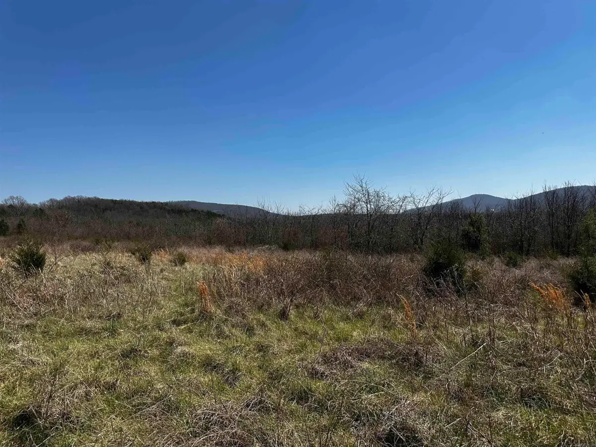 000 Horton Hill Road, Locust Grove, AR 72680 - #1
