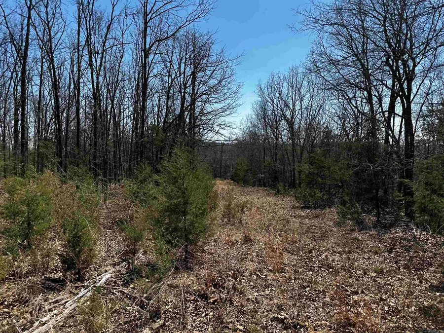 000 Horton Hill Road, Locust Grove, AR 72680 - #3