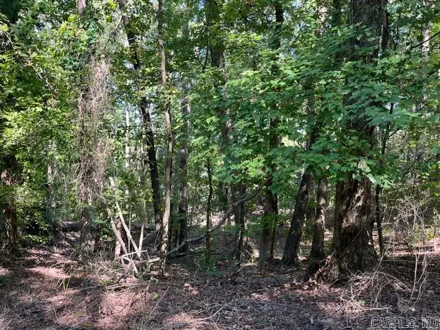 000 Sabiote Way, Hot Springs Village, AR 71909 - #1