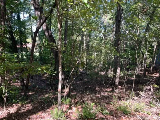 000 Sabiote Way, Hot Springs Village, AR 71909 - #2