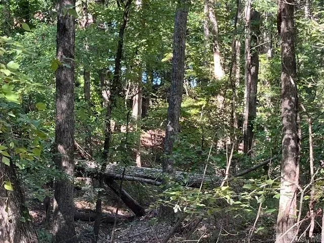 000 Sabiote Way, Hot Springs Village, AR 71909 - #3
