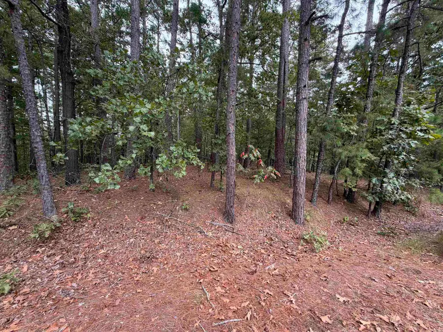 28 Cancion Way, Hot Springs Village, AR 71909 - #2