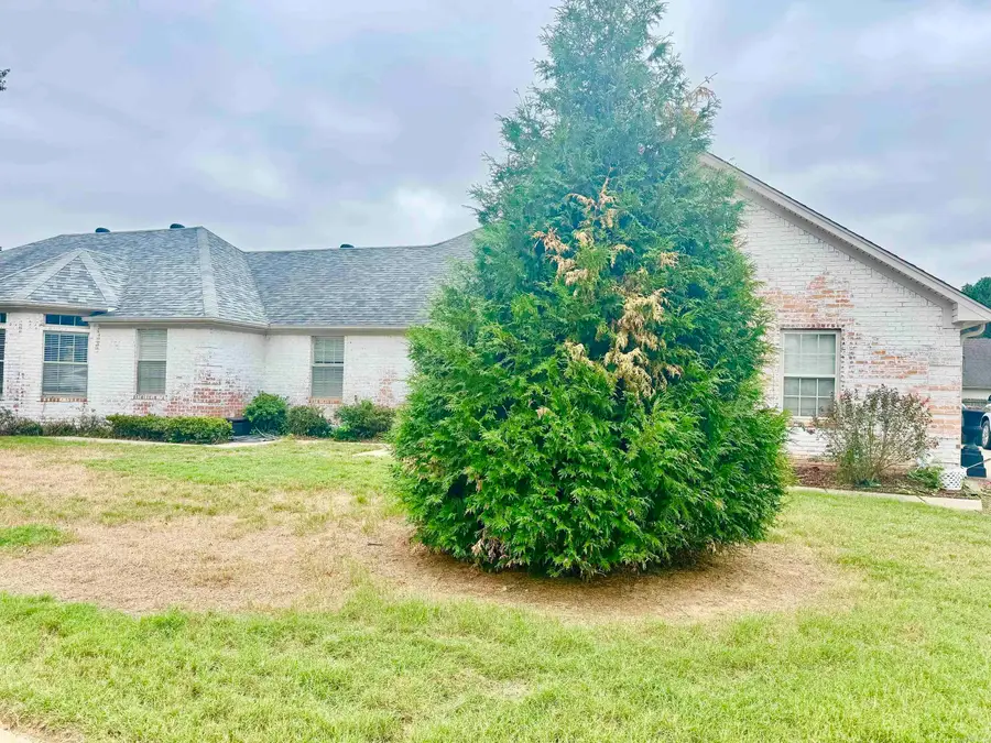 3 Hyde Park Circle, Conway, AR 72034 - #3
