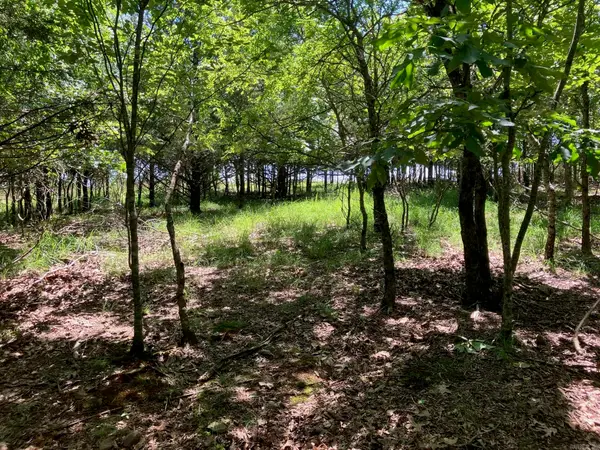 TBD 3 AC Thompson Creek Lane Lane, Mena, AR 71953