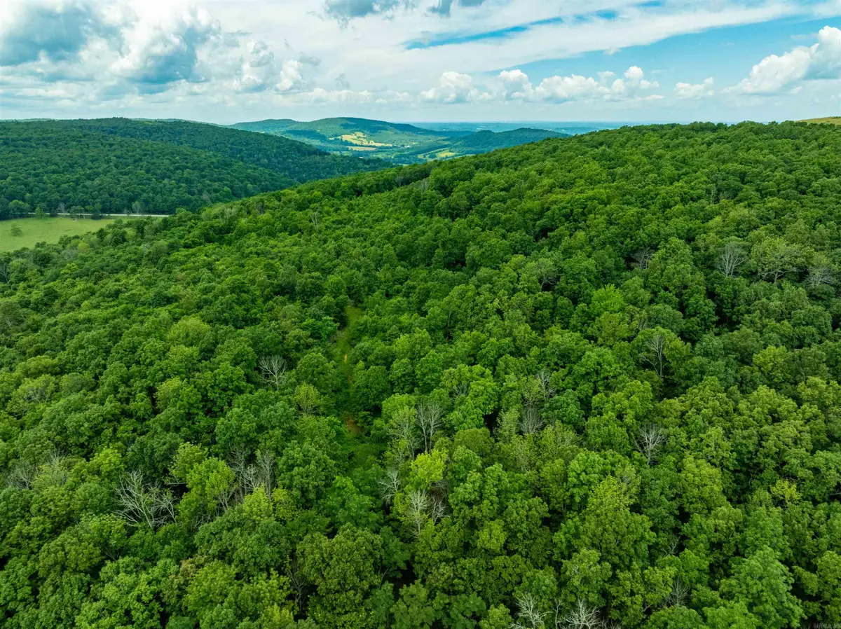 0 Old 66 Rd, Leslie, AR 72645 - #1
