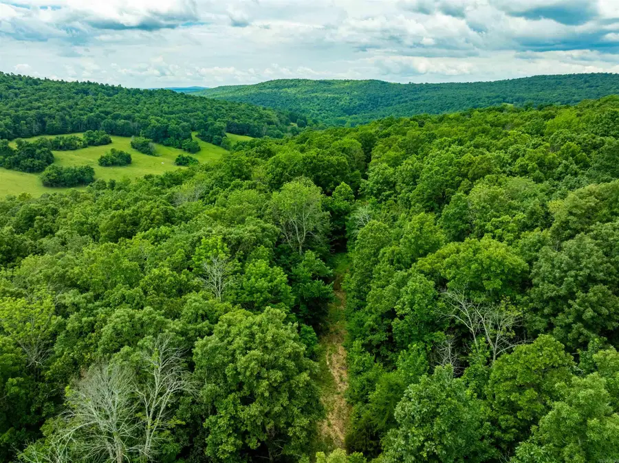 0 Old 66 Rd, Leslie, AR 72645 - #3