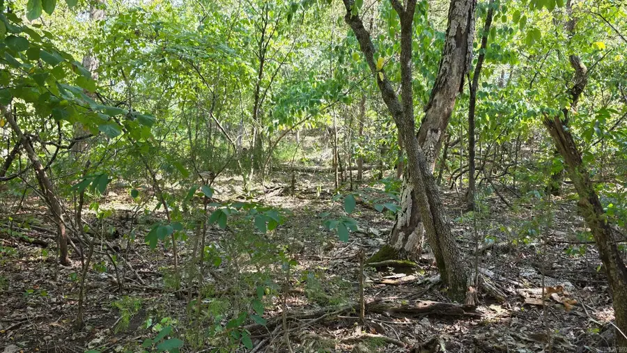 Lot 30 Mallard Drive, Diamond City, AR 72687 - #2