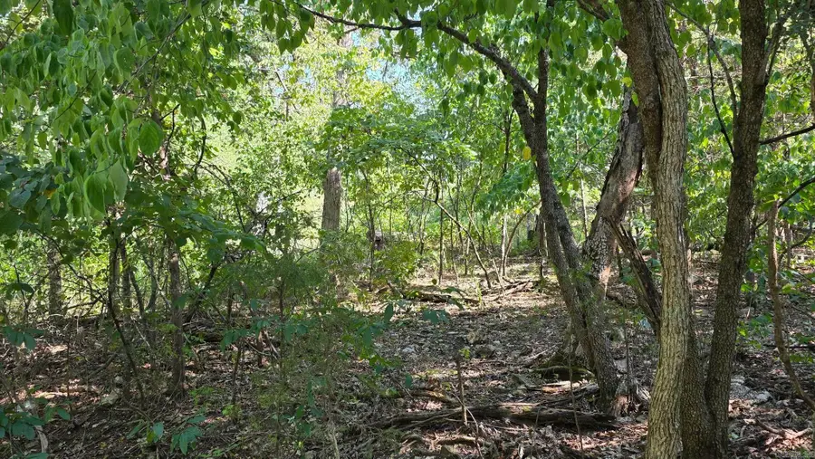Lot 30 Mallard Drive, Diamond City, AR 72687 - #3