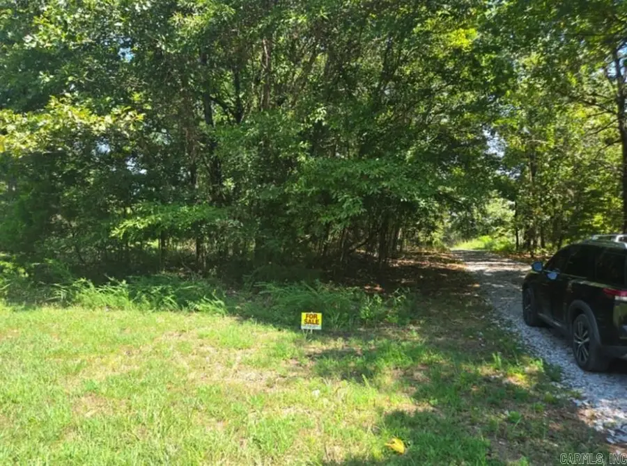 .92 Acre Lucky Lane, Peel, AR 72687 - #2
