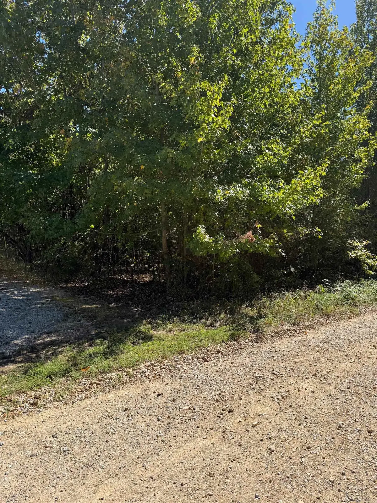 704 Greene Road, Paragould, AR 72450 - #1