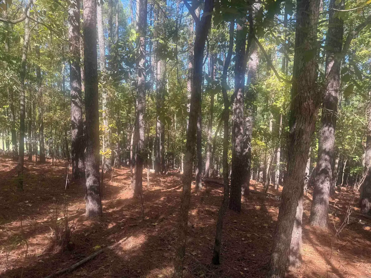 10 Ruedo, Hot Springs Village, AR 71909 - #1