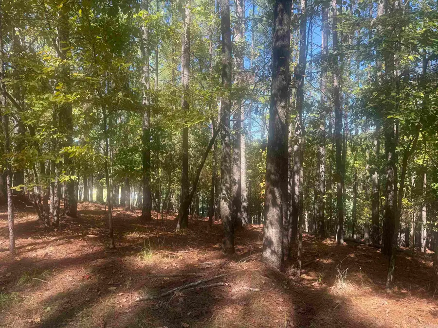 10 Ruedo, Hot Springs Village, AR 71909 - #2