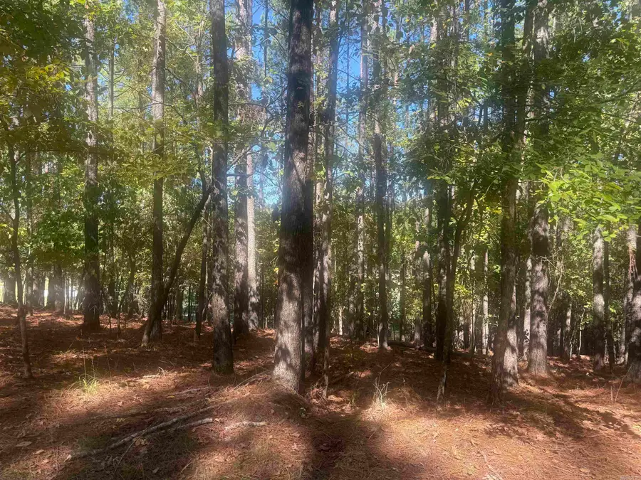 10 Ruedo, Hot Springs Village, AR 71909 - #3